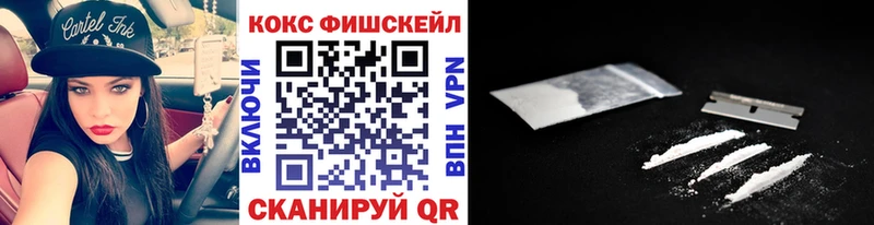 MEGA как войти  цена   Рошаль  Cocaine FishScale 