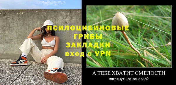 спайс Алзамай