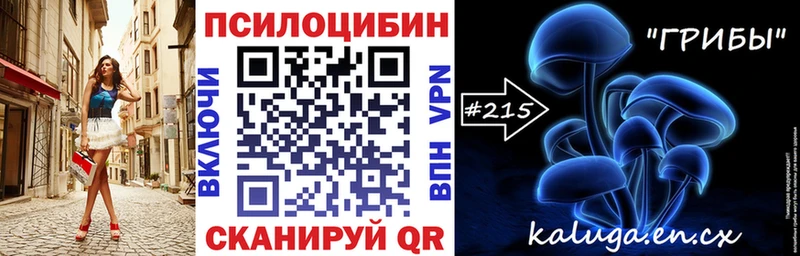 Псилоцибиновые грибы GOLDEN TEACHER  mega   Рошаль  где можно купить  